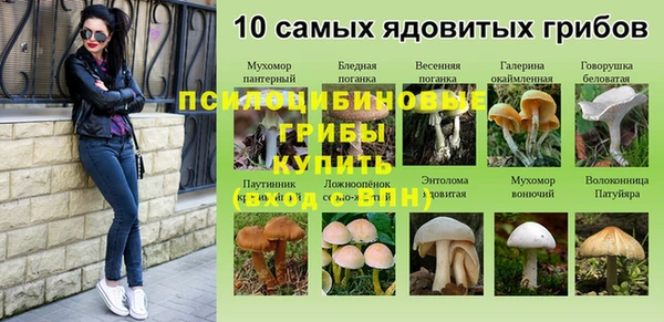 2c-b Абинск