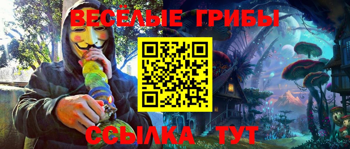Галлюциногенные грибы мухоморы Тихвин