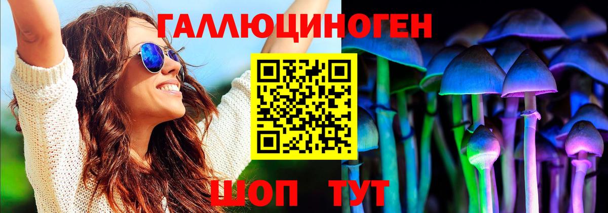 Тихвин  Псилоцибиновые грибы MAGIC MUSHROOMS  Галлюциногенные грибы GOLDEN TEACHER  Вход с VPN 
